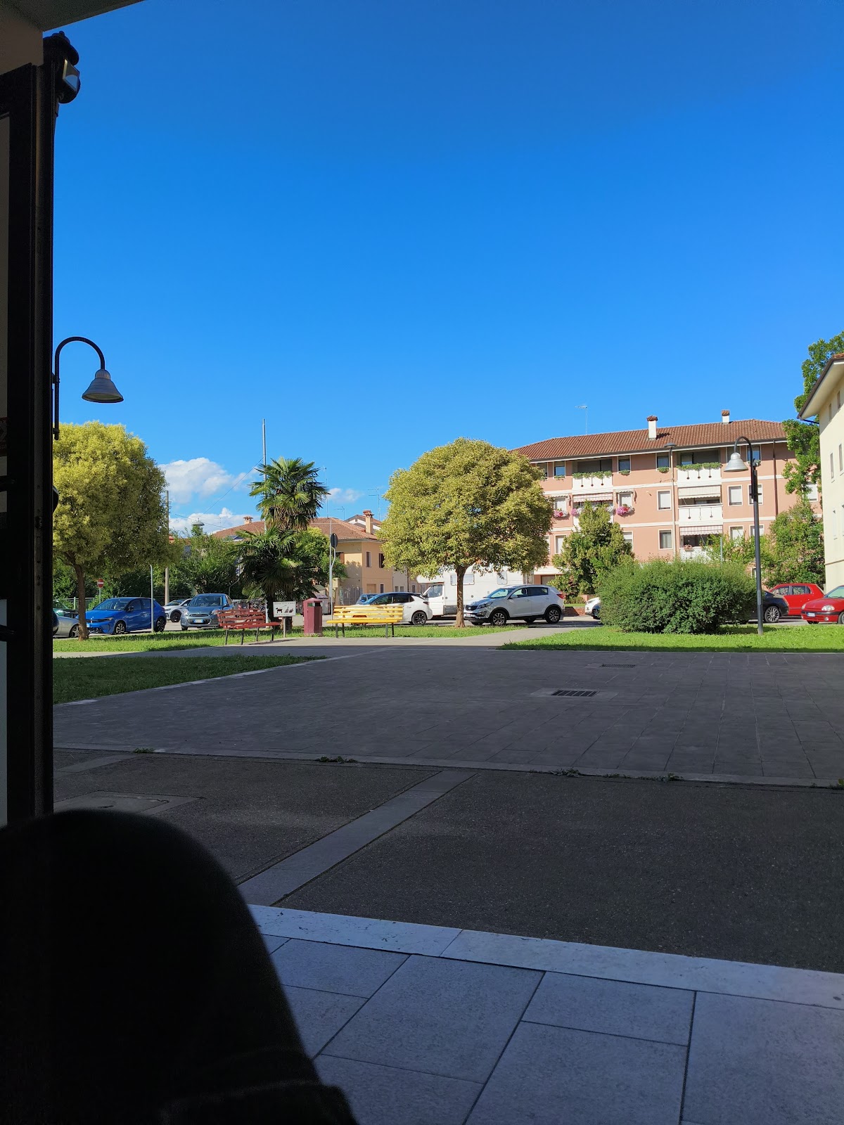 Al pettirosso — foto 2